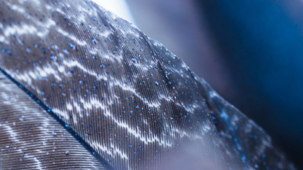 Advanced Composites in Modern Vessel Construction
